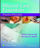 Ebook Wound care essentials - Practice principles (4/E): Part 1