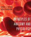 Ebook Principles of anatomy and physiology (12/E): Part 3