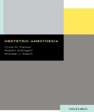 Ebook Obstetric anesthesia: Part 1