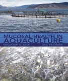 Ebook Mucosal health in aquaculture: Part 2