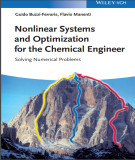 Ebook Nonlinear systems and optimization for the chemical engineer - Solving numerical problems: Part 1
