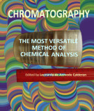 Ebook Chromatography - The most versatile method of chemical analysis: Part 2