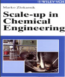 Ebook Scale-up in chemical engineering: Part 1