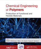 Ebook Chemical engineering of polymers - Production of functional and flexible materials: Part 2