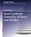 Ebook Novel synthetic chemistry of ureas and amides