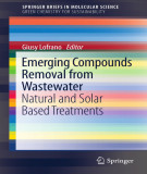 Ebook Emerging compounds removal from wastewater: Natural and solar based treatments