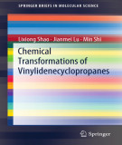 Ebook Chemical transformations of vinylidenecyclopropanes