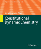 Ebook Constitutional dynamic chemistry
