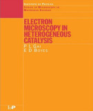 Ebook Electron microscopy in heterogeneous catalysis (Series in Microscopy in materials science)