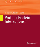 Ebook Protein-Protein interactions (Topics in Medicinal chemistry, Volume 8)