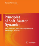 Ebook Principles of soft-matter dynamics: Basic theories, non-invasive methods, mesoscopic aspects