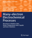 Ebook Many-electron electrochemical processes: Reactions in molten salts, room-temperature ionic liquids and ionic solutions