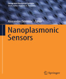 Ebook Nanoplasmonic sensors (Integrated analytical systems series)
