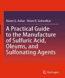 Ebook A practical guide to the manufacture of sulfuric acid, oleums, and sulfonating agents