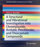 Ebook A structural and vibrational investigation into chromylazide, acetate, perchlorate, and thiocyanate compounds