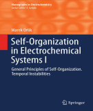 Ebook Self-organization in electrochemical systems I: General principles of self-organization. temporal instabilities