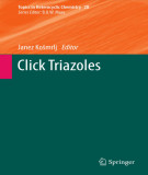 Ebook Click triazoles (Topics in Heterocyclic chemistry, Volume 28)