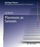 Ebook Plasmons as sensors