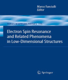 Ebook Electron spin resonance and related phenomena in low-dimensional structures