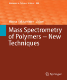 Ebook Mass spectrometry of polymers – New techniques