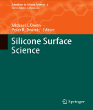 Ebook Silicone surface science (Advances in Silicon science, Volume 4)
