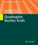 Ebook Quadruplex nucleic acids (Topics in Current chemistry, Volume 330)