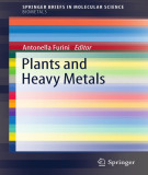 Ebook Plants and heavy metals