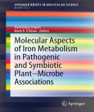 Ebook Molecular aspects of iron metabolism in pathogenic and symbiotic plant–microbe associations