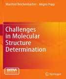 Ebook Challenges in molecular structure determination