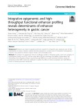 Integrative epigenomic and highthroughput functional enhancer profiling reveals determinants of enhancer heterogeneity in gastric cancer