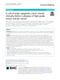 A cell-of-origin epigenetic tracer reveals clinically distinct subtypes of high-grade serous ovarian cancer