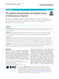 The global dissemination of hospital clones of Enterococcus faecium