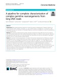 A pipeline for complete characterization of complex germline rearrangements from long DNA reads