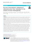 De novo transcriptomic subtyping of colorectal cancer liver metastases in the context of tumor heterogeneity