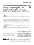 Intratumor heterogeneity and T cell exhaustion in primary CNS lymphoma