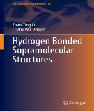 Ebook Hydrogen bonded supramolecular structures