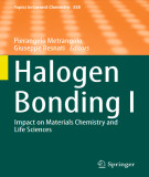 Ebook Halogen bonding I: Impact on materials chemistry and life sciences