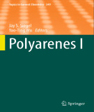 Ebook Polyarenes I (Topics in Current chemistry, Volume 349)