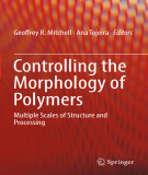 Ebook Controlling the morphology of polymers: Multiple scales of structure and processing