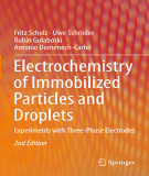 Ebook Electrochemistry of immobilized particles and droplets: Experiments with three-phase electrodes (2nd edition)
