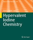 Ebook Hypervalent iodine chemistry - Thomas Wirth