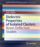 Ebook Dielectric properties of isolated clusters: Beam deflection studies