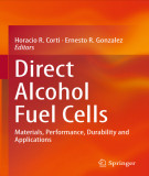 Ebook Direct alcohol fuel cells: Materials, performance, durability and applications
