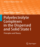Ebook Polyelectrolyte complexes in the dispersed and solid state I: Principles and theory