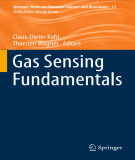 Ebook Gas sensing fundamentals (Springer series on Chemical sensors and biosensors, Volume 15)