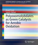 Ebook Polyoxomolybdates as green catalysts for aerobic oxidation