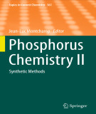 Ebook Phosphorus chemistry II: Synthetic methods