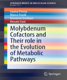 Ebook Molybdenum cofactors and their role in the evolution of metabolic pathways