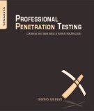 Ebook Professional penetration testing creating and operating a formal hacking lab: Part 1