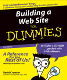 Ebook Building a web site for dummies (2nd edition)
